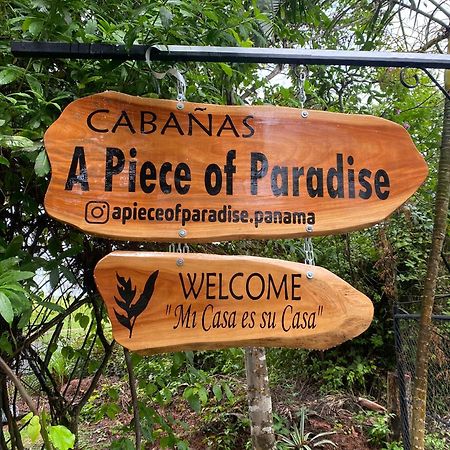 A Piece Of Paradise Сан-Карлос Экстерьер фото